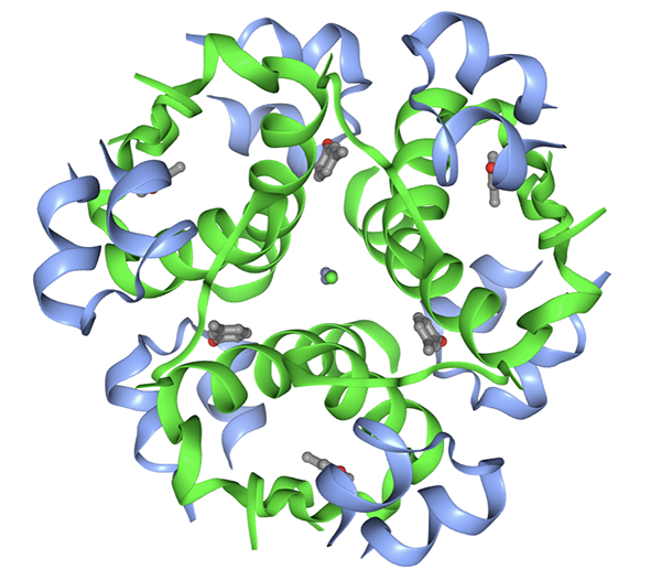 FDA 批准首个用于治疗糖尿病的速效胰岛素生物仿制药产品